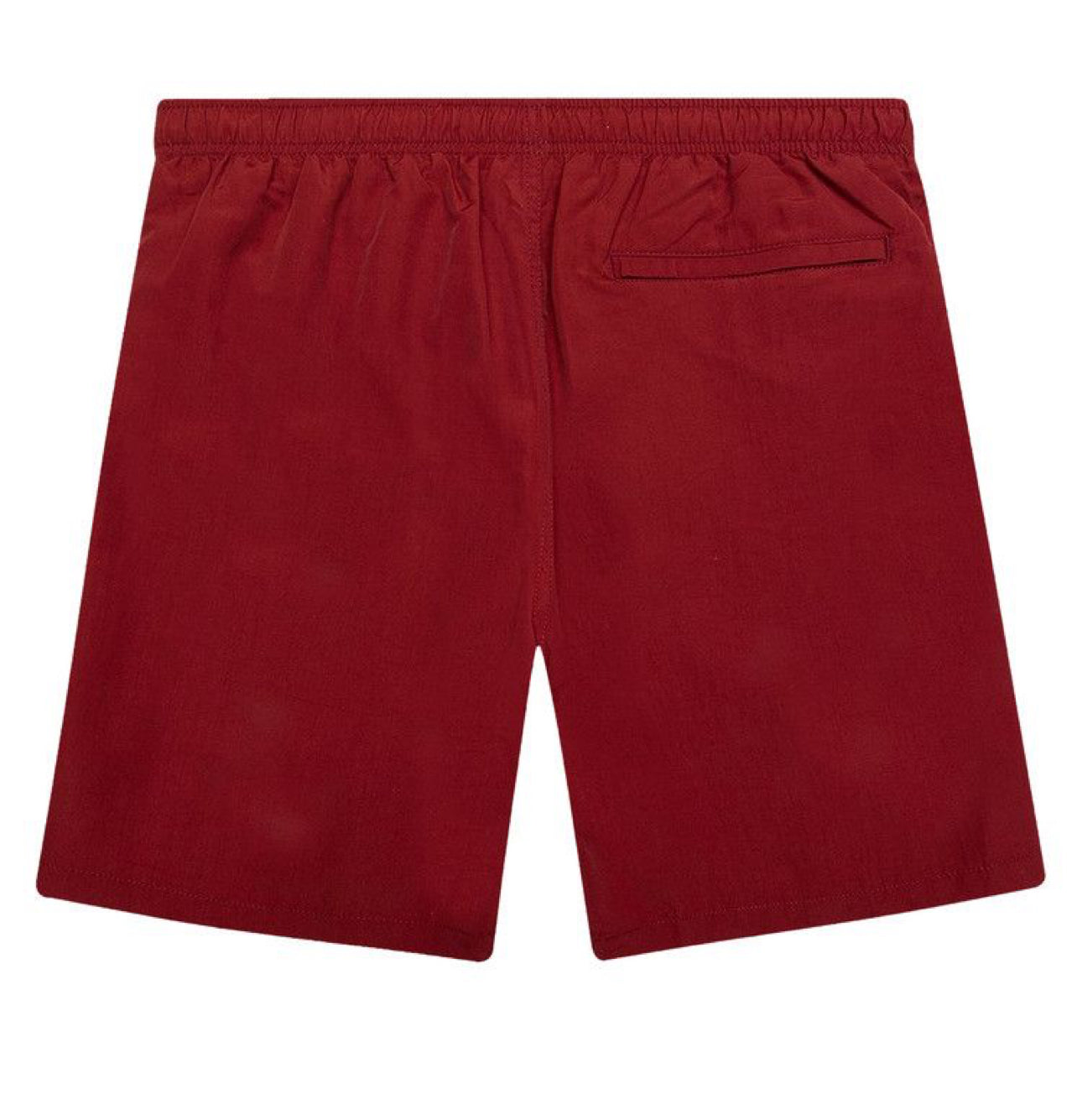 Stussy Stock Water Shorts Brick - 113120